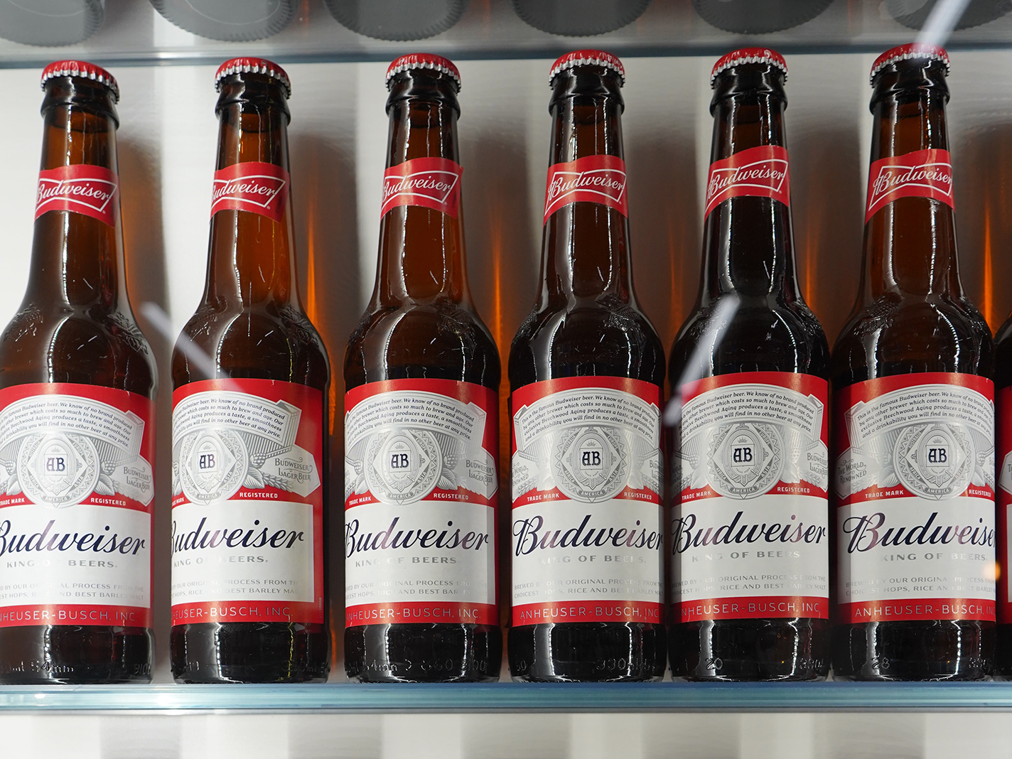 Two shelves neatly lined with glass bottles of Budweiser/ Photo by Liv Hema on Unsplash