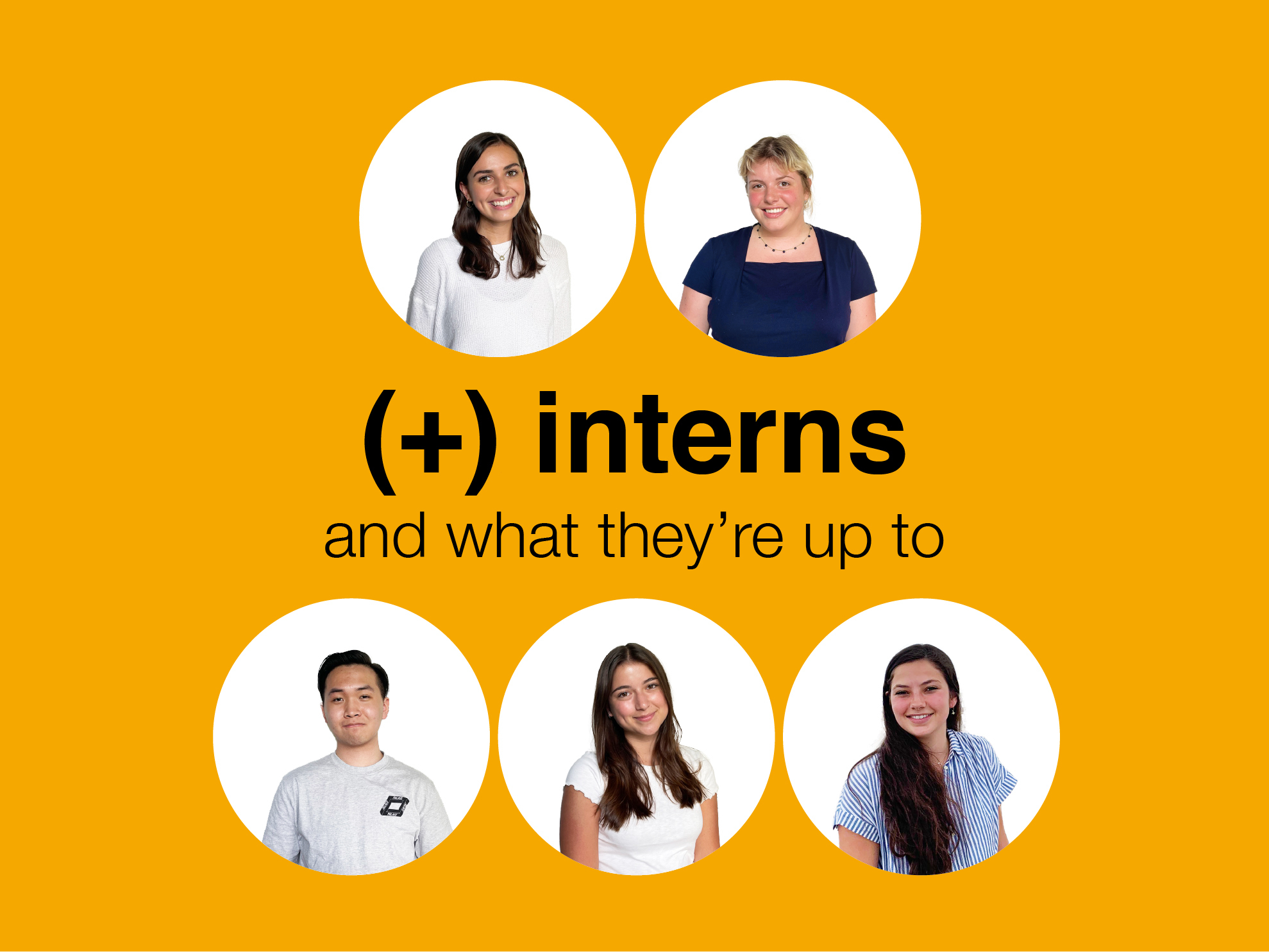 (+) interns and what they're up to